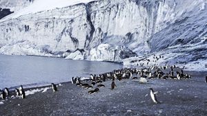 Antarctica: The Frozen Time's poster