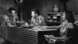 The Macomber Affair's poster