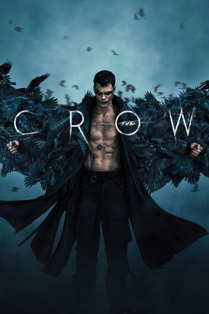 The Crow's poster