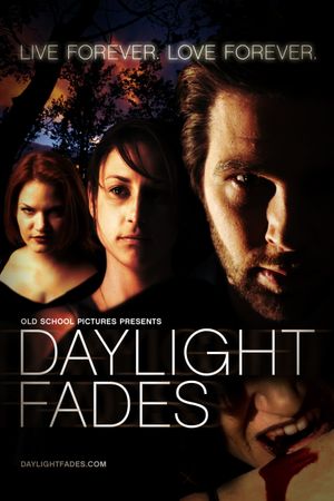 Daylight Fades's poster