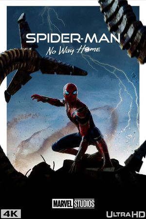 Spider-Man: No Way Home's poster
