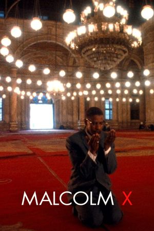 Malcolm X's poster