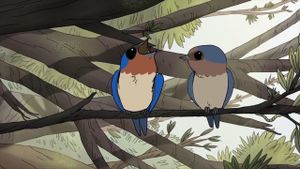 Birds's poster