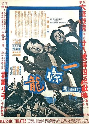 The Chinese Mechanic's poster