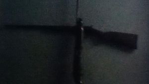 The Leech's poster