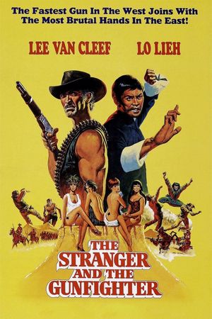 The Stranger and the Gunfighter's poster image