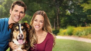 Love at First Bark's poster