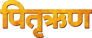 Pitruroon's poster