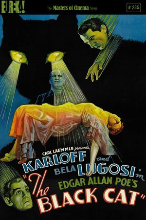 The Black Cat's poster