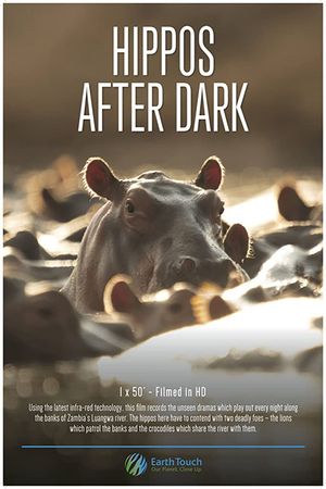Hippos After Dark's poster