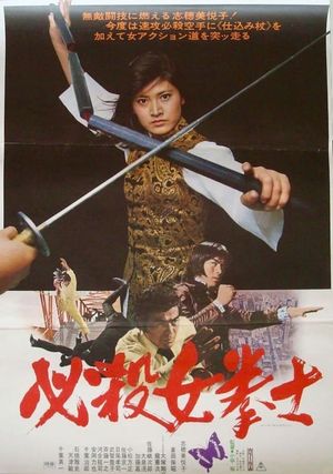 Sonny Chiba's Dragon Princess's poster
