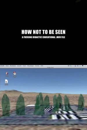 How Not to Be Seen: A Fucking Didactic Educational .MOV File's poster