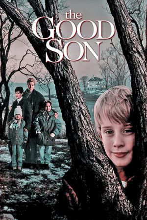 The Good Son's poster