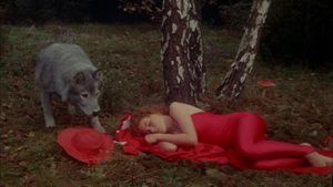 Bye bye chaperon rouge's poster