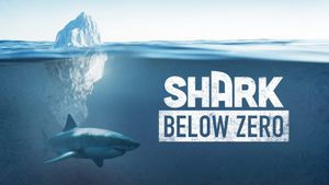 Shark Below Zero's poster