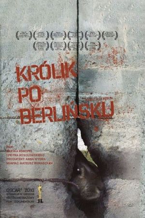 Rabbit à la Berlin's poster