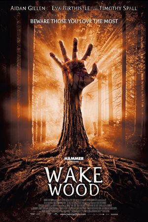 Wake Wood's poster