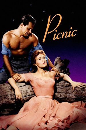 Picnic's poster