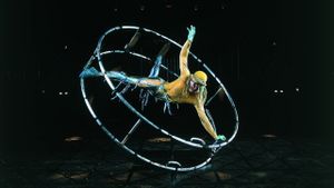 Cirque du Soleil: Quidam's poster