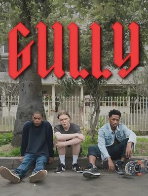 Gully's poster