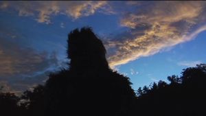 The Bigfoot Diaries's poster