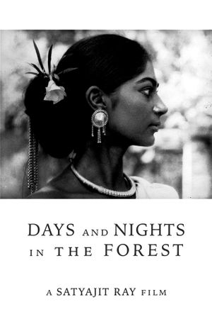 Days and Nights in the Forest's poster