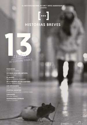 Historias Breves 13's poster