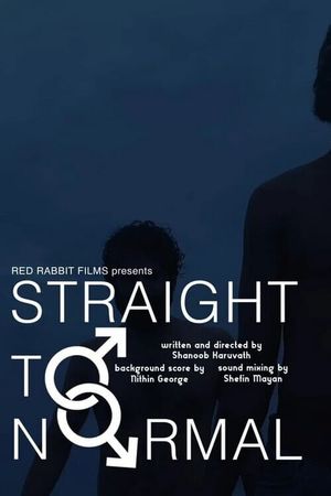 Straight to Normal's poster