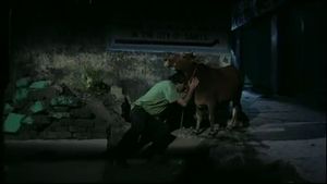 Letters from Rishikesh's poster