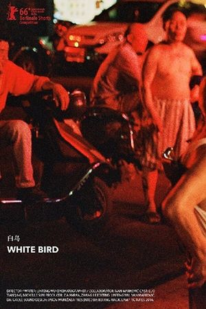 White Bird's poster