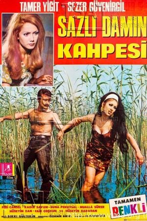 Sazli Damin Kahpesi's poster