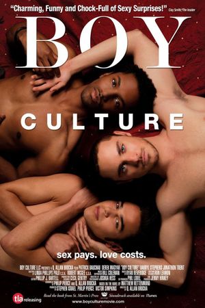 Boy Culture's poster