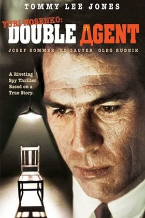 Double Image's poster