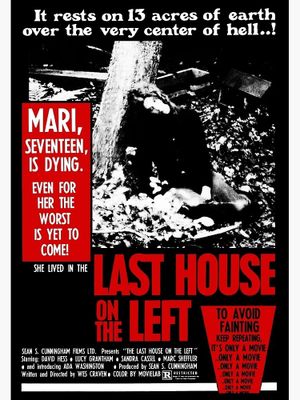 The Last House on the Left's poster