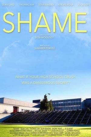 Shame's poster