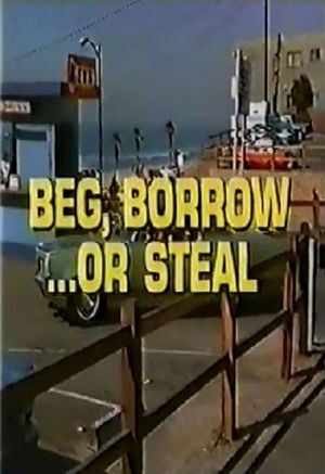 Beg, Borrow...or Steal's poster