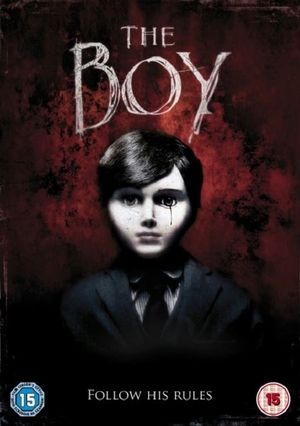 The Boy's poster