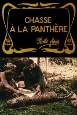 Hunting the Panther's poster