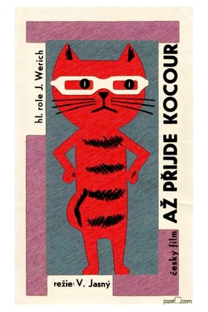 When the Cat Comes's poster