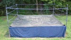 Backyard Dogs's poster