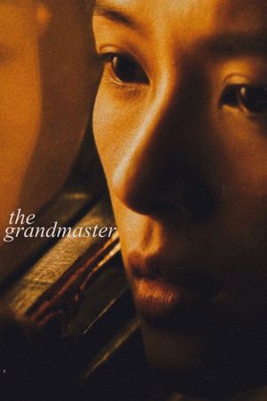 The Grandmaster's poster