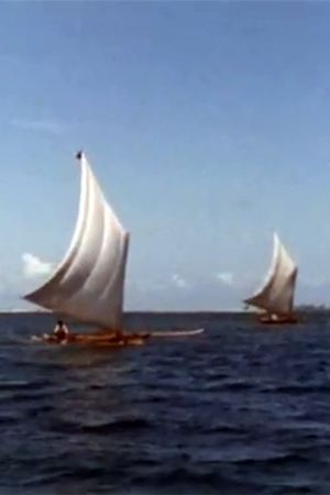 The Pirates of Buban's poster