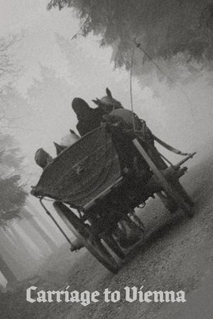 Carriage to Vienna's poster