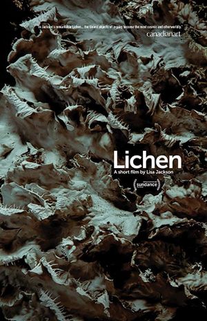 Lichen's poster image