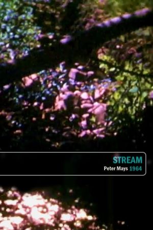 Stream's poster