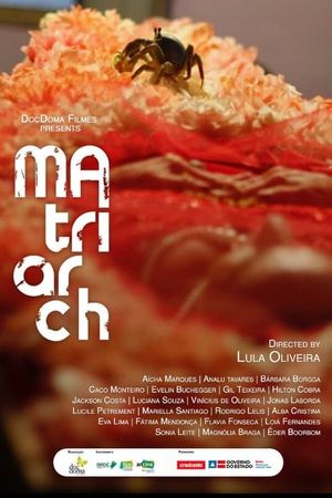 A Matriarca's poster