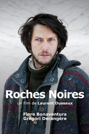 Murder In The Tarentaise Valley's poster