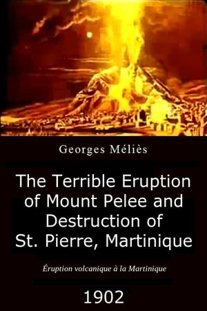 The Terrible Eruption of Mount Pelee and Destruction of St. Pierre, Martinique's poster