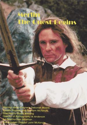 Merlin's poster image
