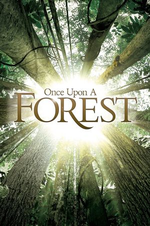 Once Upon a Forest's poster